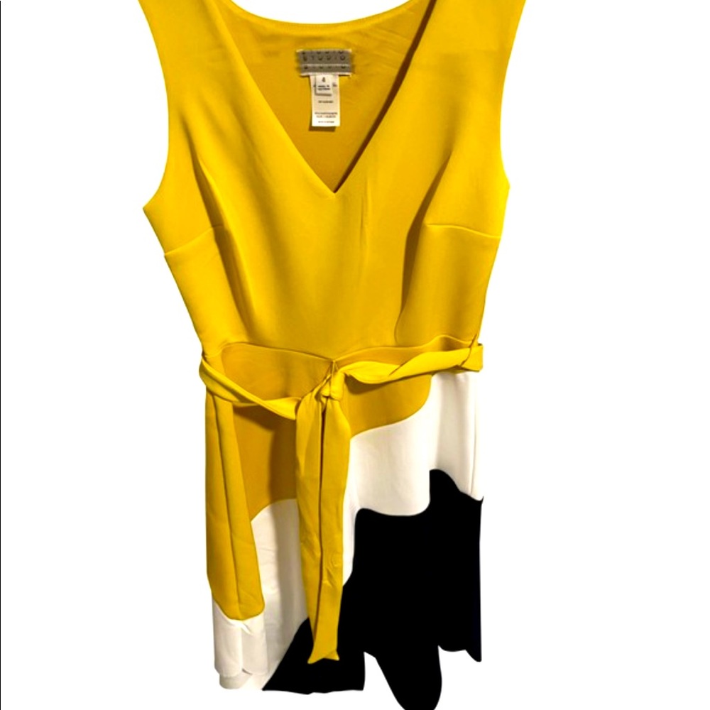 New EnFocus Studio dress